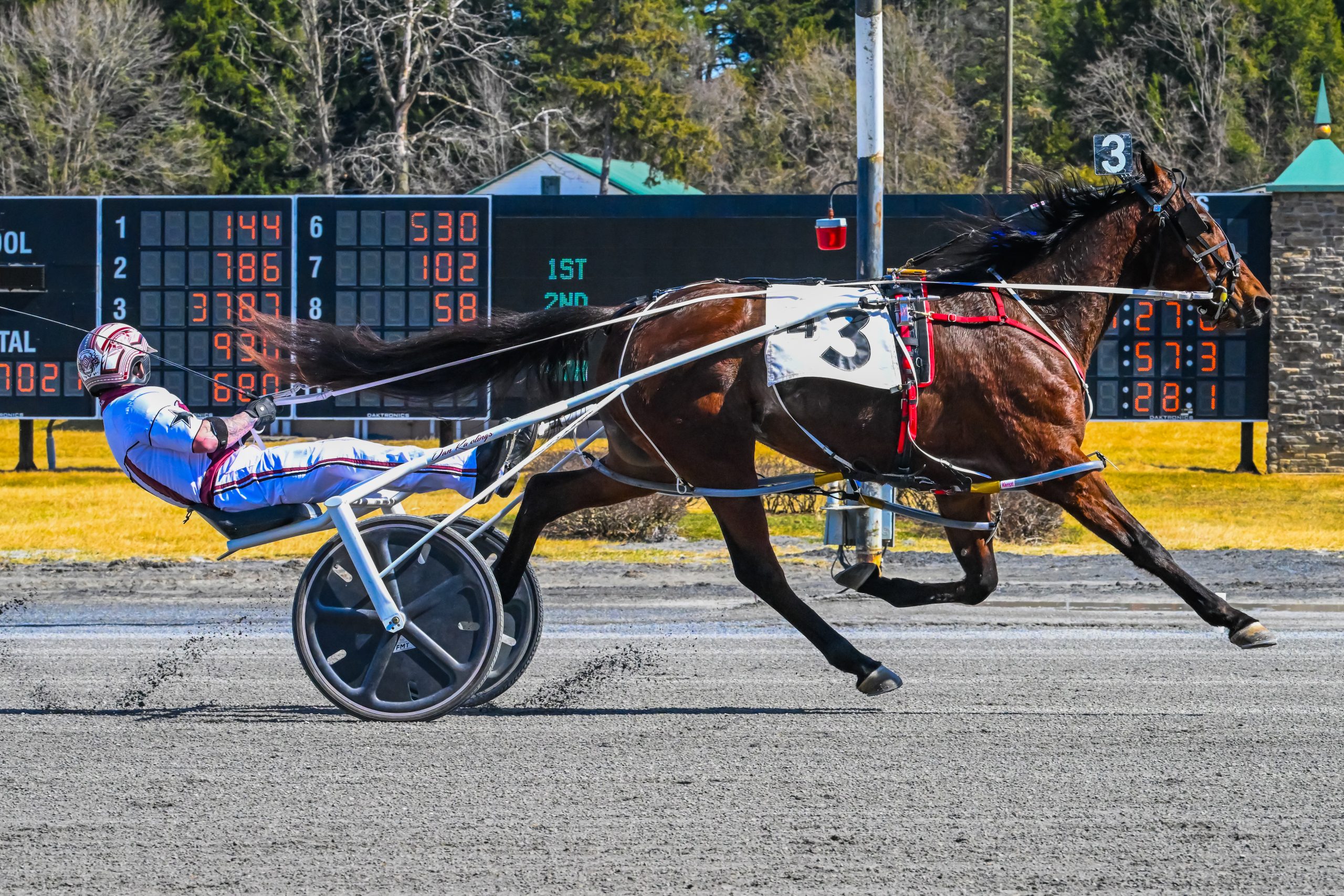 Trainer/driver double for Rawlings