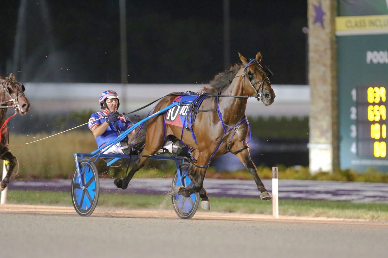 Century Farroh has the Sireline of the Century