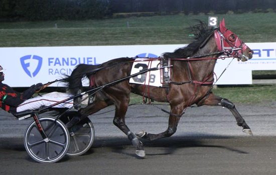 Flight Landing a dominant harness racing winner