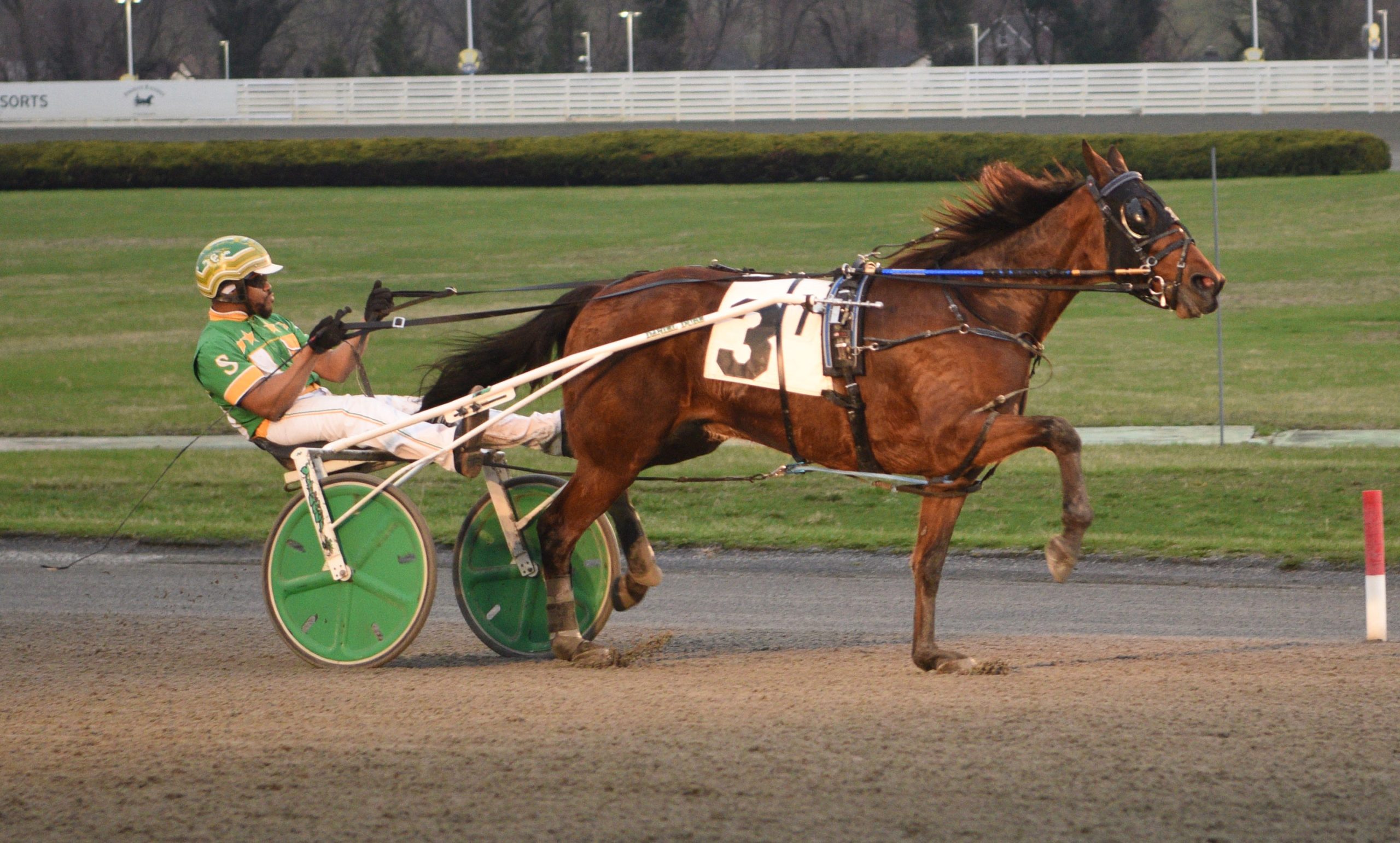 Sheridan, Krivelin take NAADA Trots wins