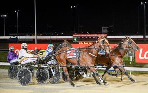 Winning form for Star Major going into Easter Cup heats