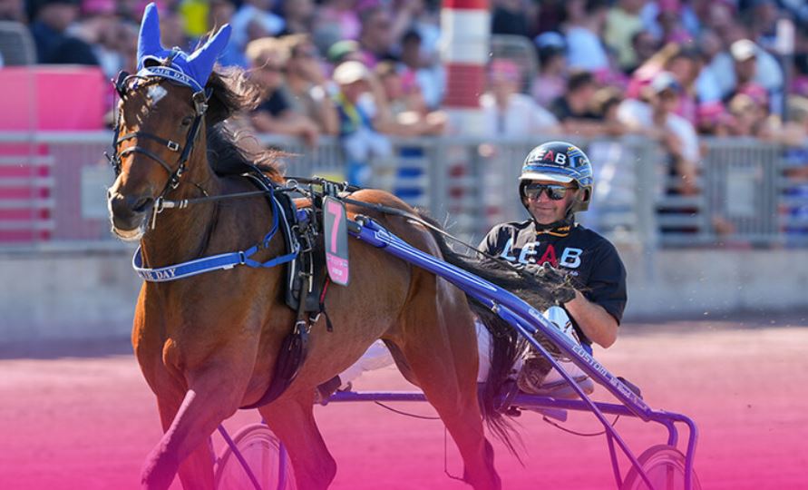 A Fair Day seventh horse to be invited to Elitloppet