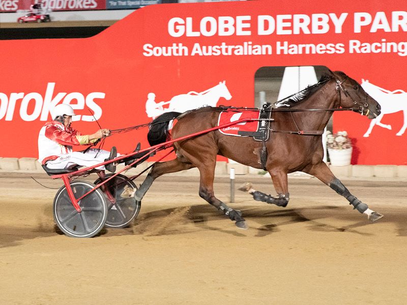Ryan Hryhorec scores again in Strathalbyn Trotters Cup