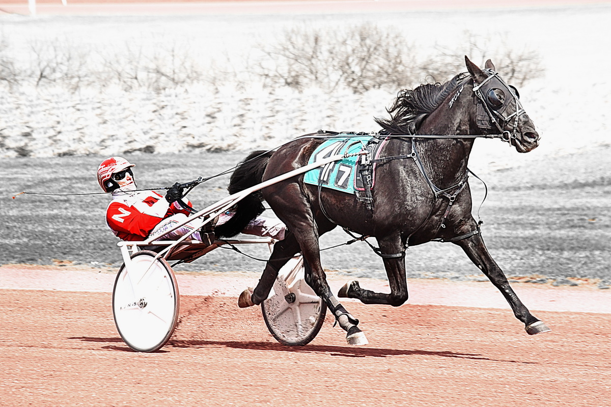 Six winners for “George Nap”