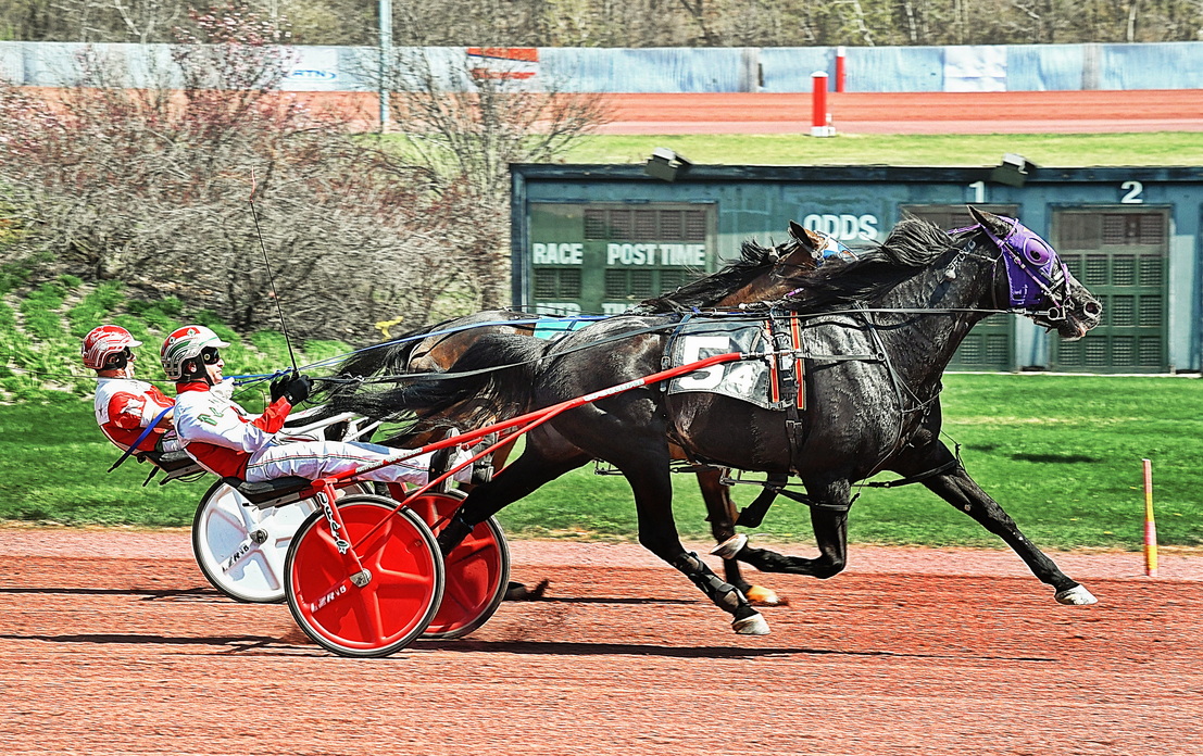 Altus Hanover, Golden Compass sweep Game Of Claims