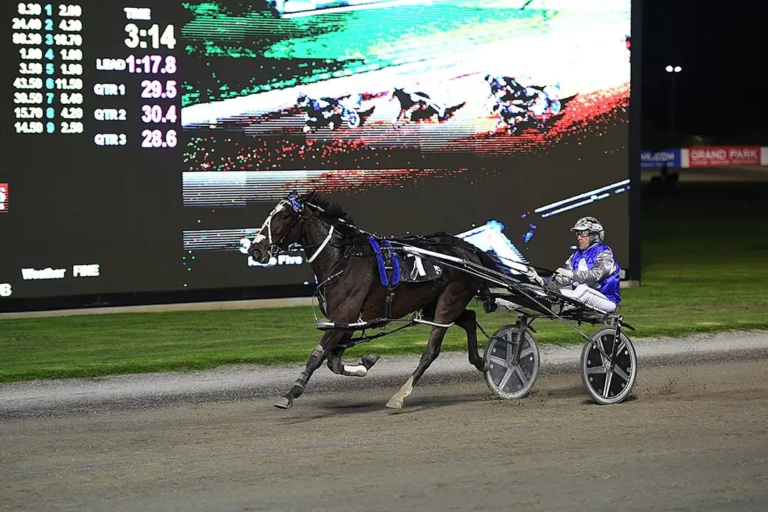 NZ record broken in Oaks