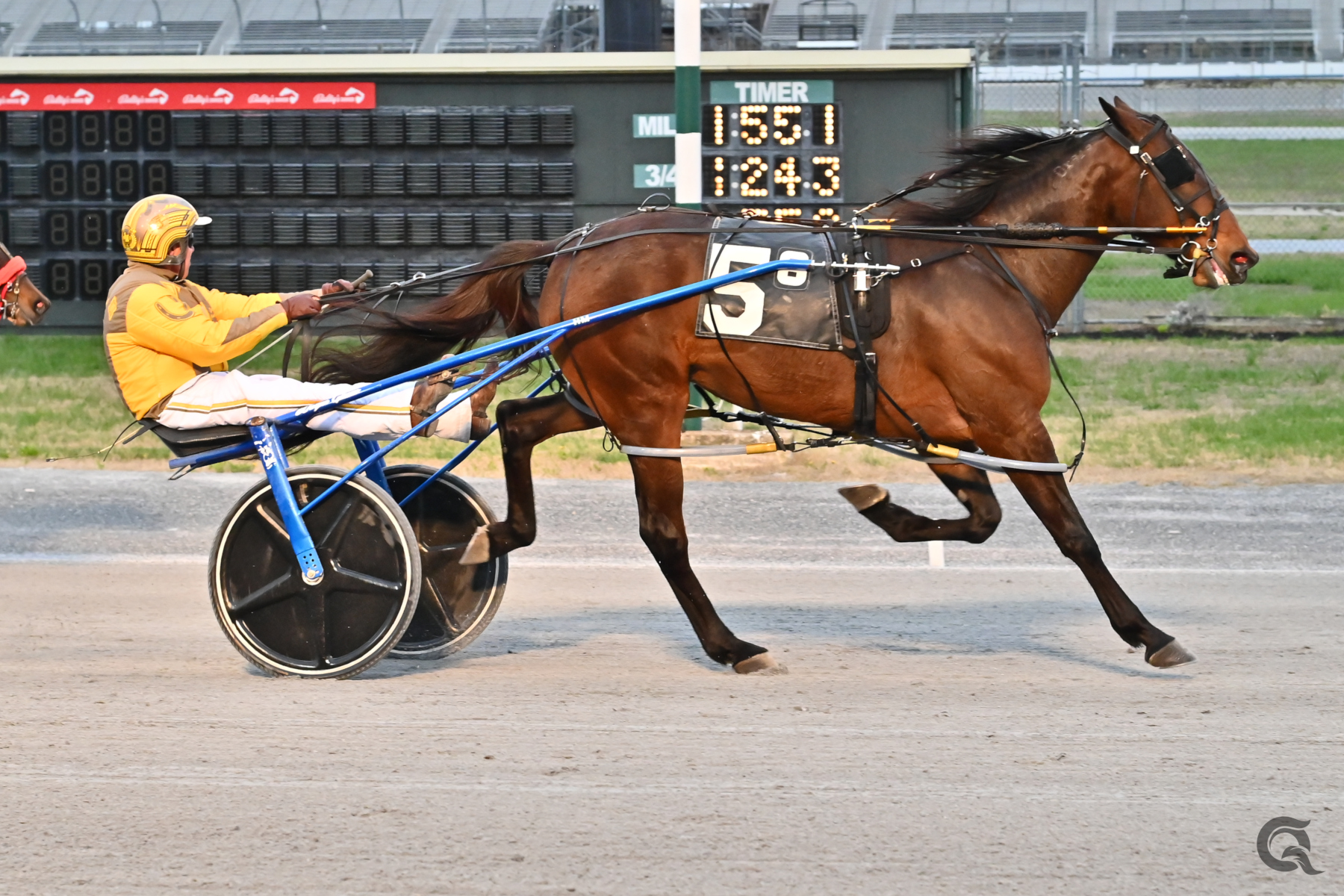 Early speed duel helps Bella Artiste