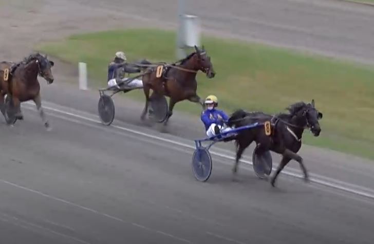 Betting Pacer and Borups Victory score impressive wins