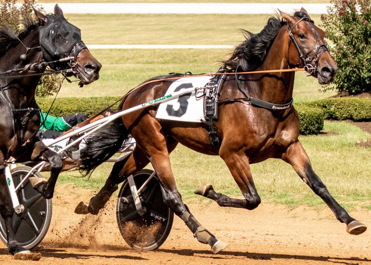 Roegner aiming for Paver final with Bryant Bros S