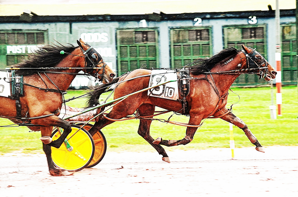 Bobby Weiss Series action run at Pocono