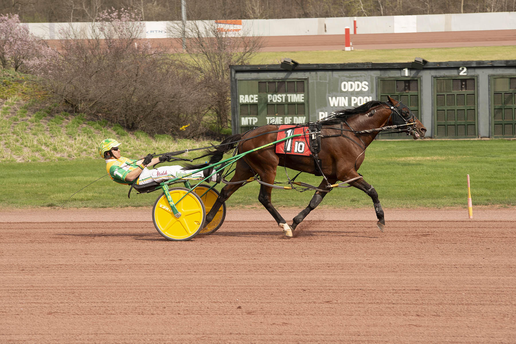 Heston Blue Chip colt wins $50,000 Weiss Championship