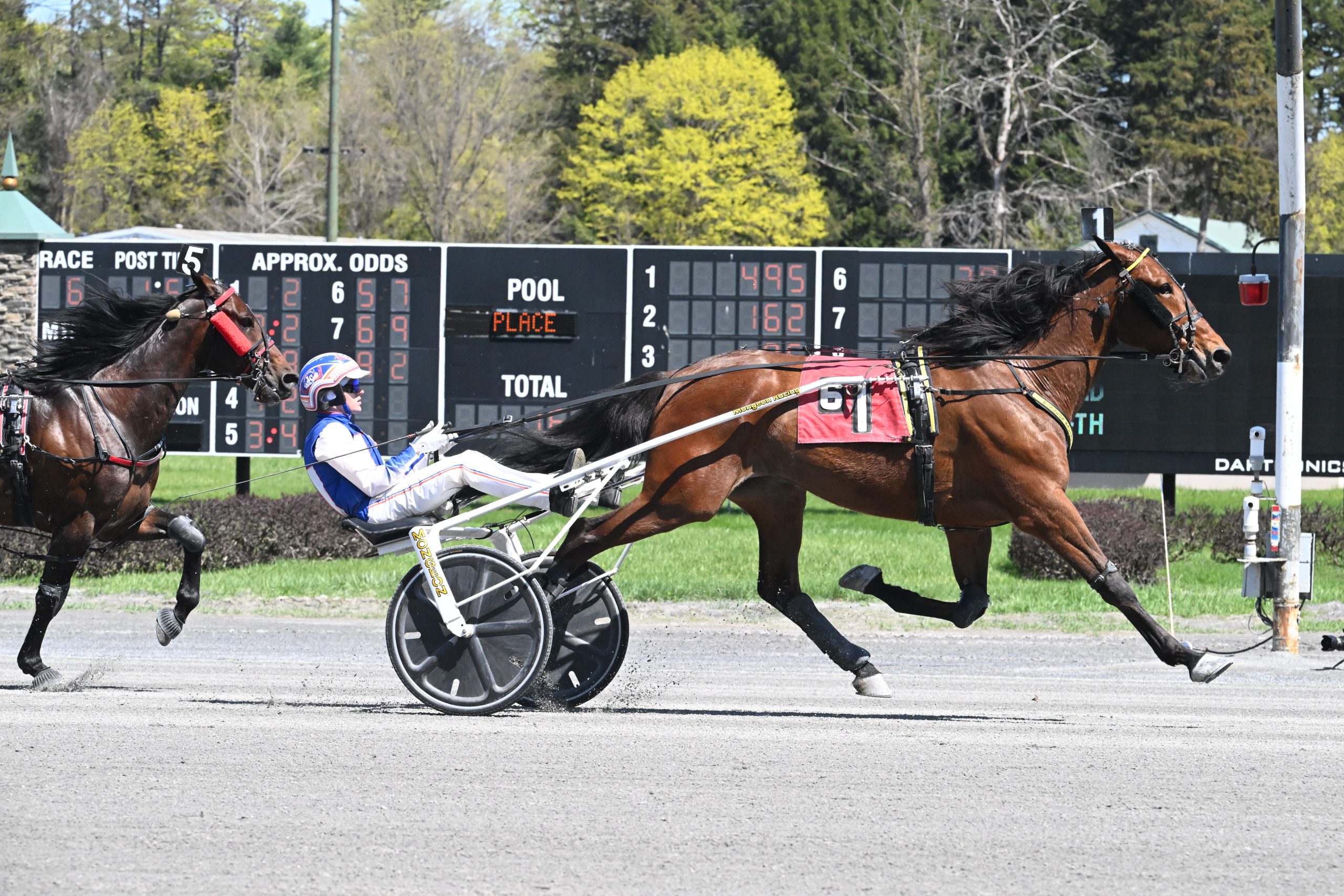 But Why continues on his winning way