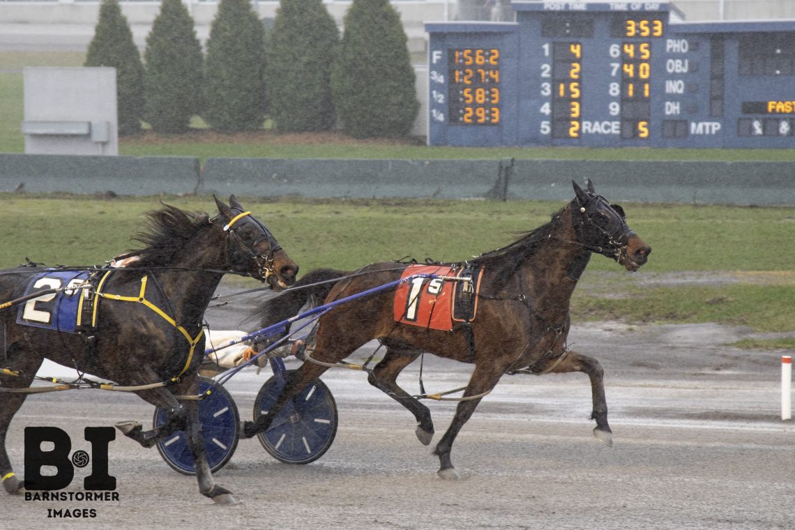 Melanion takes Buffalo Raceway Open Pace