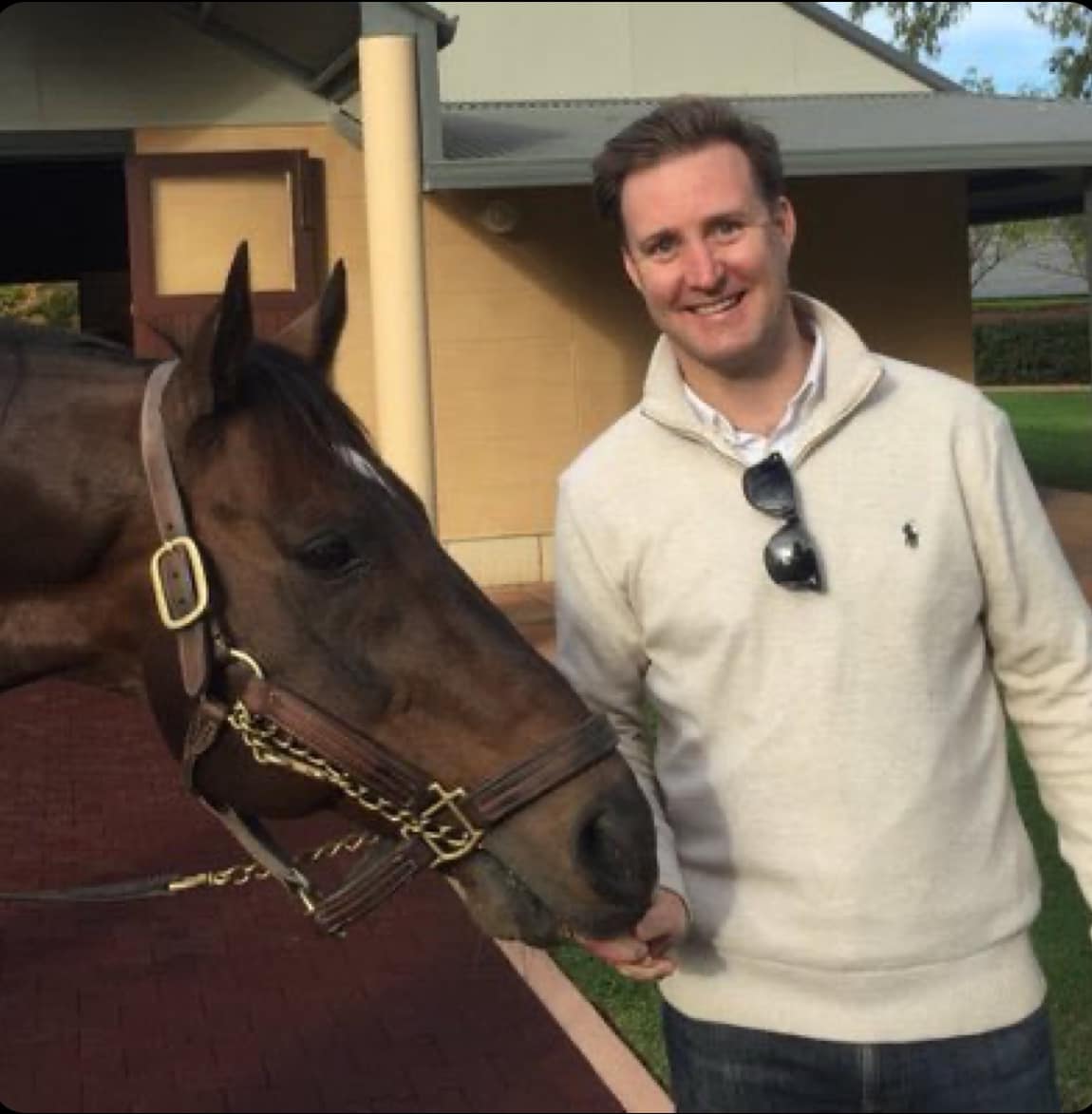 Harness Racing SA CEO to depart