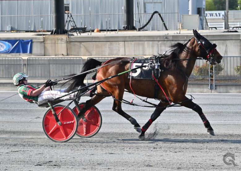 Big Jim mare adds to impressive bankroll