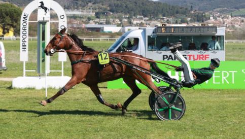 Hades de L’Iton wins Trophee Vert Leg 1