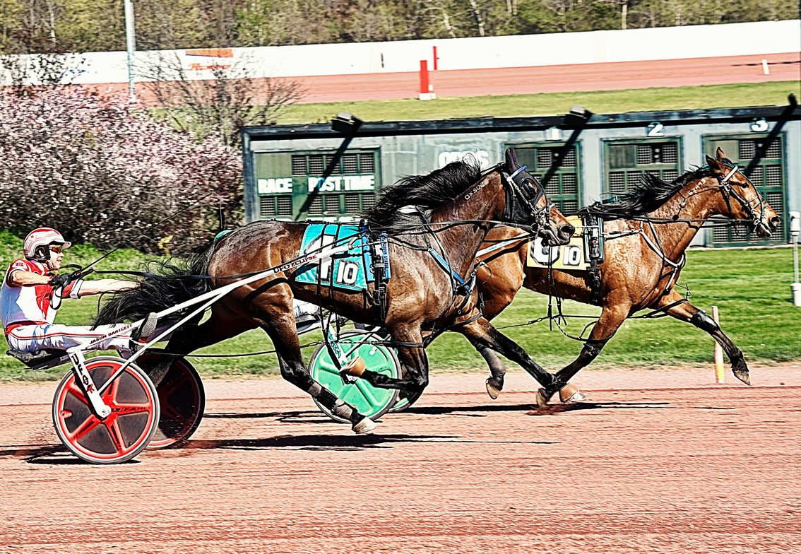 Six Pack filly sweeps $50,000 Weiss Championship