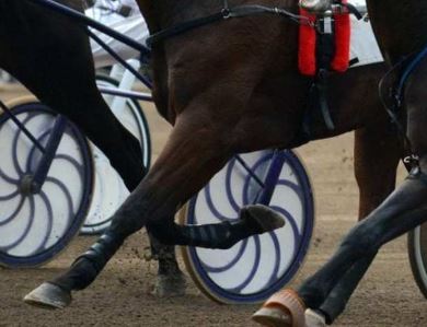 Howard Taylor goes after Hanover and the USTA