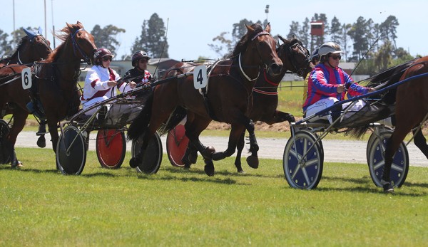 Big Al carrying the hopes of the Stewart team