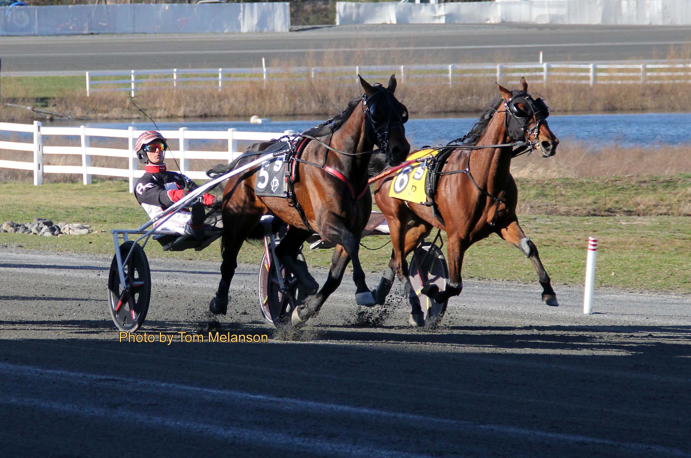 Herodotus, Swedish Starlet N win features