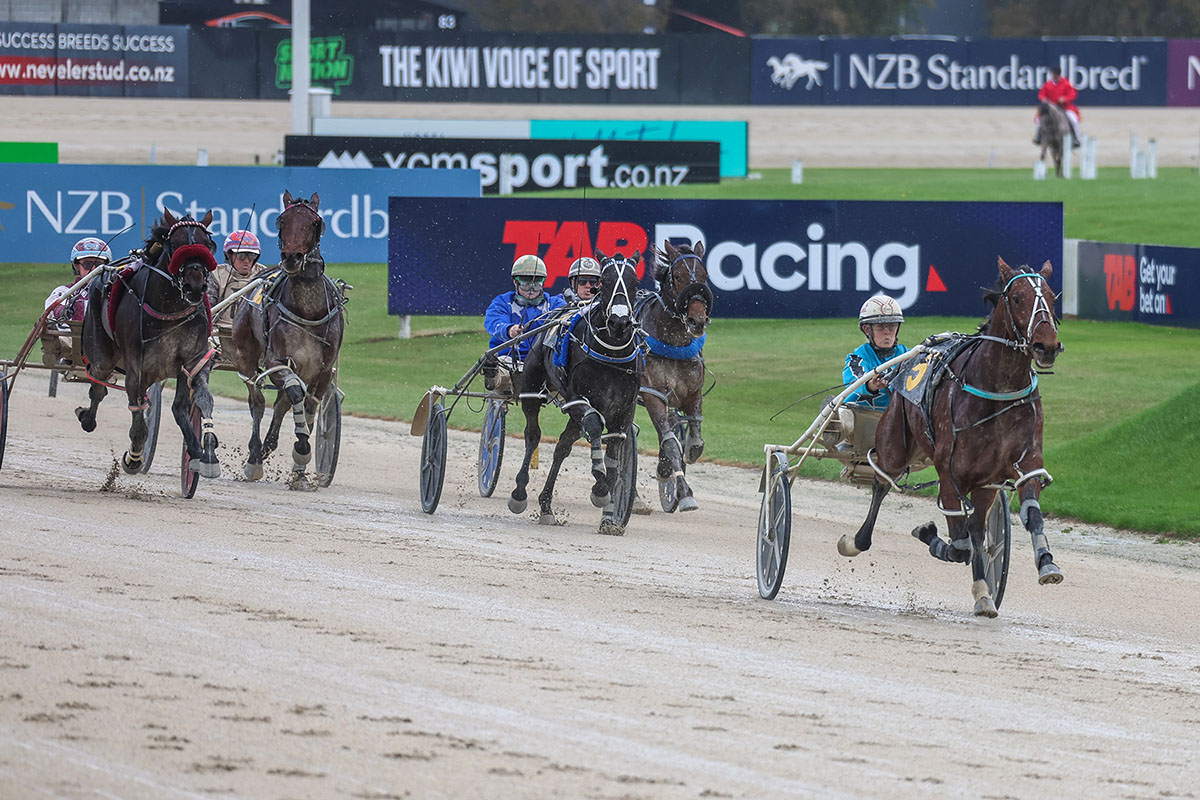 Jumal could be Reid’s next star