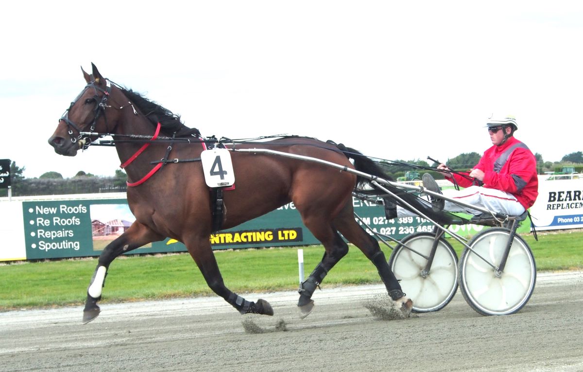 Dan Anderson talks about the Gray team for Wairio