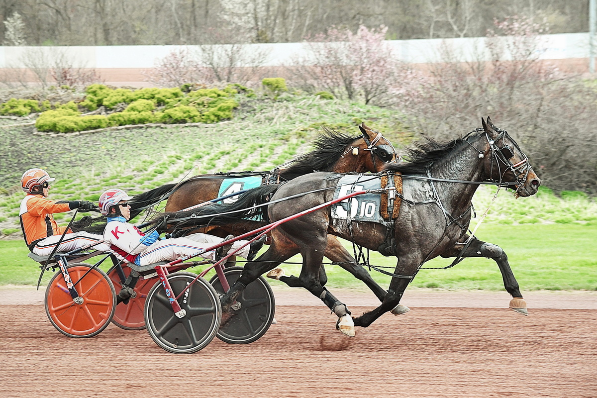 Chapter Seven colt wins $50,000 Weiss Series final