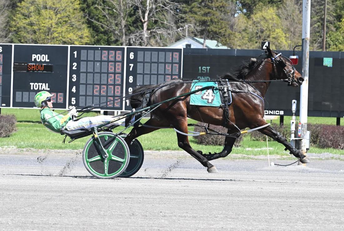 Decisive victory to Little Instigator