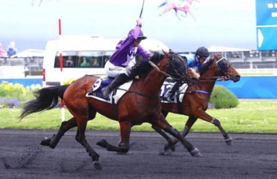 Looping Day, Kid Bellay Gr. II winners