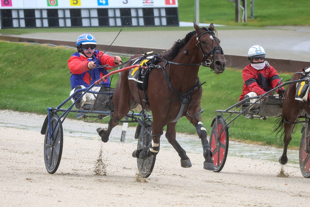 Moonshiner shows enough nip