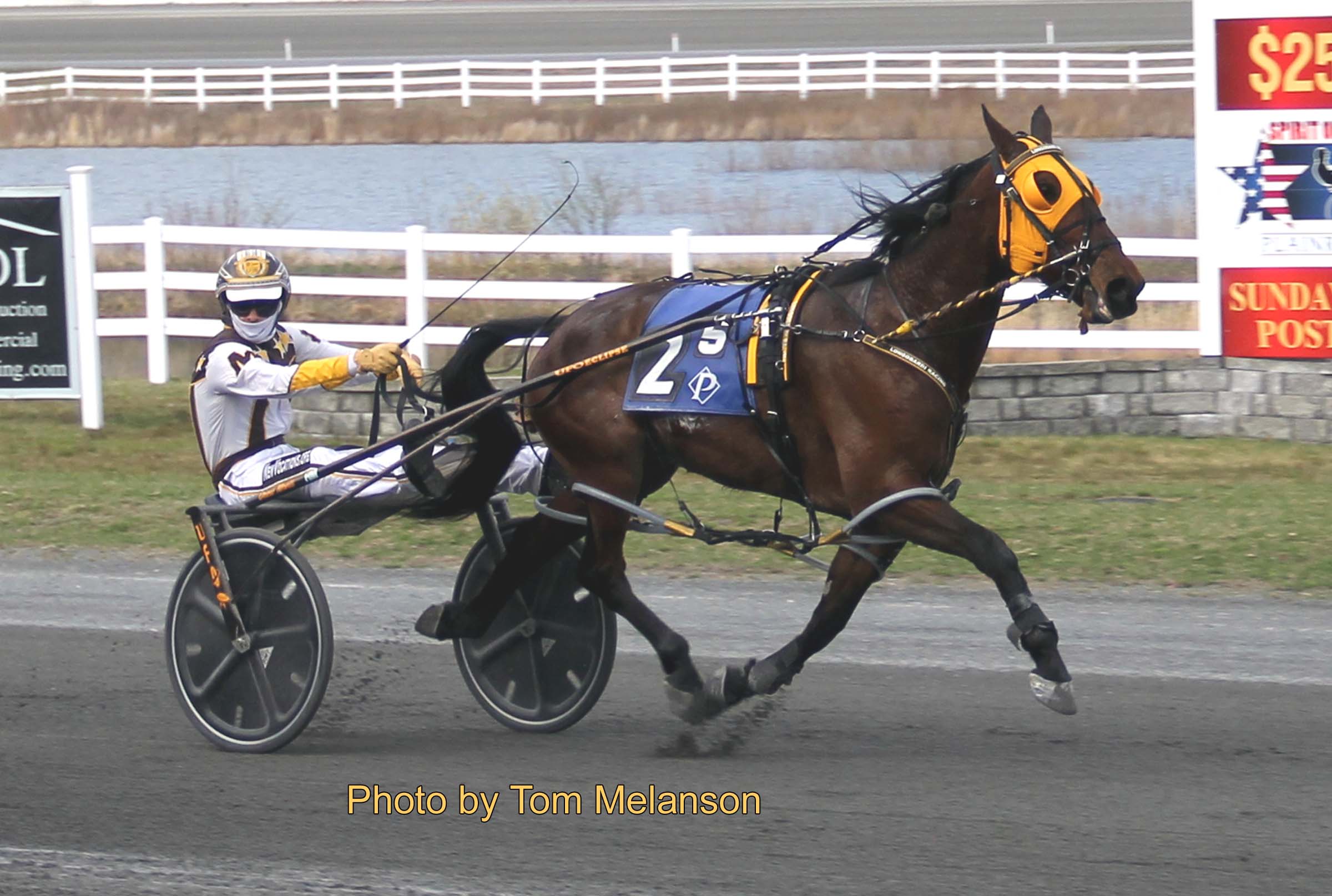 Mach Seelster bolts home late to win