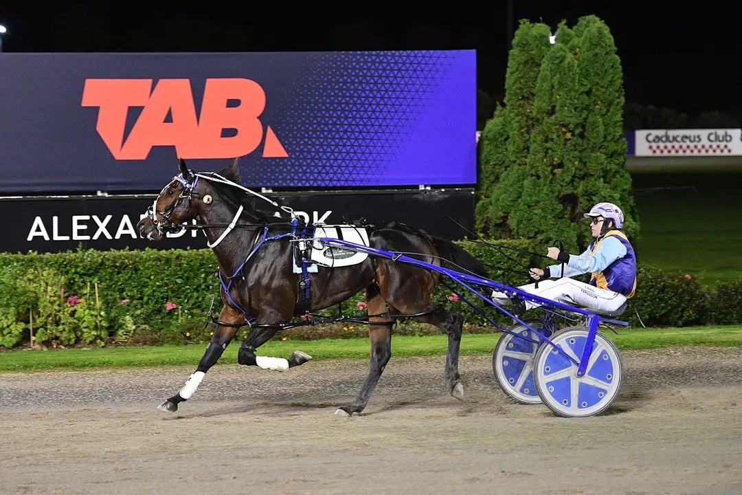 Marketplace blitzes Derby field, smashes record