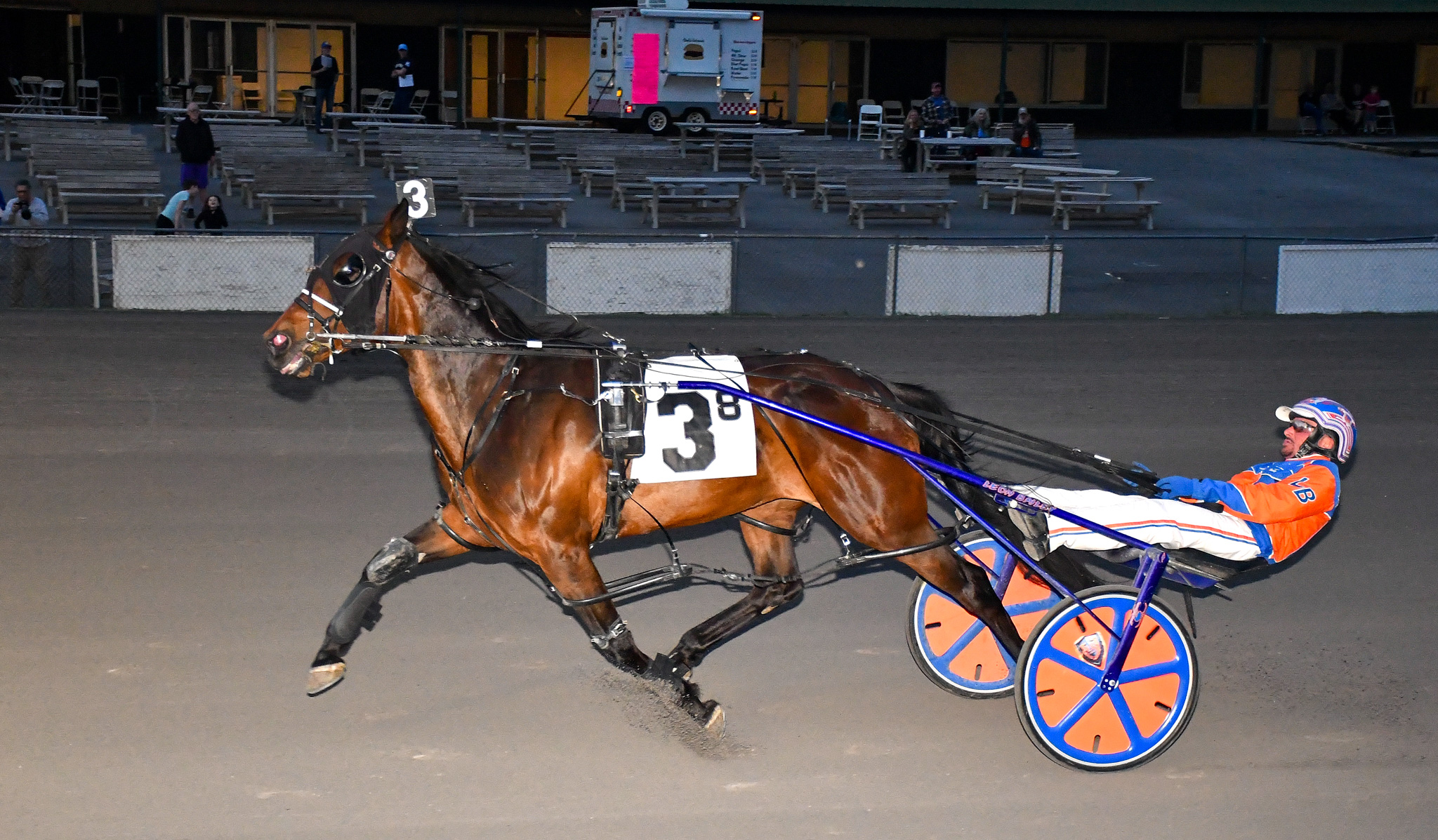 Dali mare takes feature in style