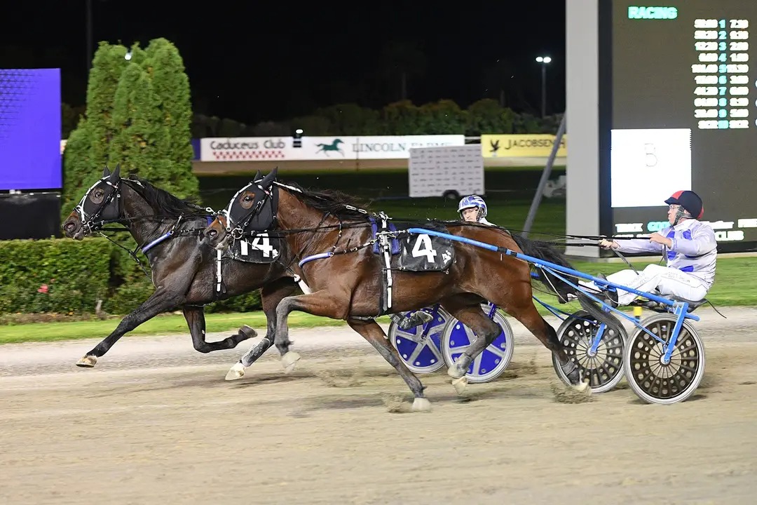Breckon Farms quinella trotting Derby