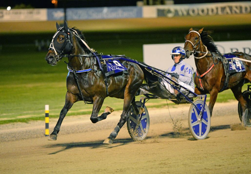Exciting young trotter doubles his Harness Million tally