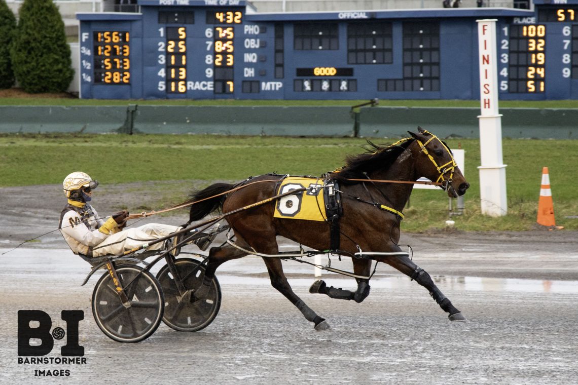 Melanion takes Buffalo Raceway Open Pace