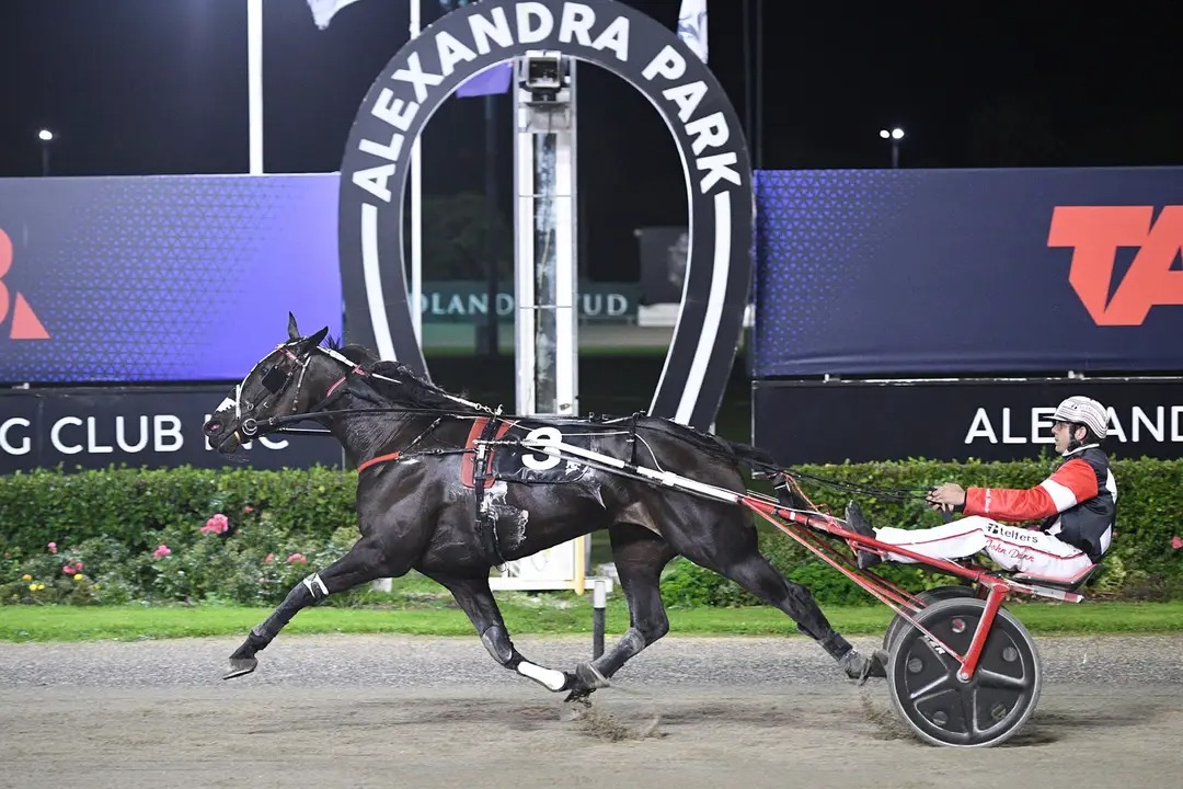 Mighty Logan arrives in the big time