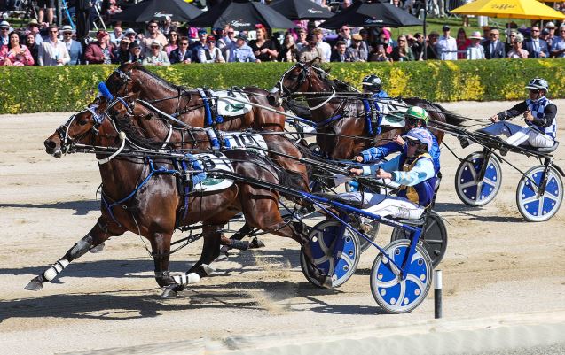 NZ Sires Stakes news brief