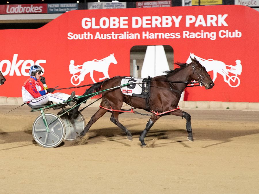 Open The Gates takes the Kindergarten Series at Globe Derby