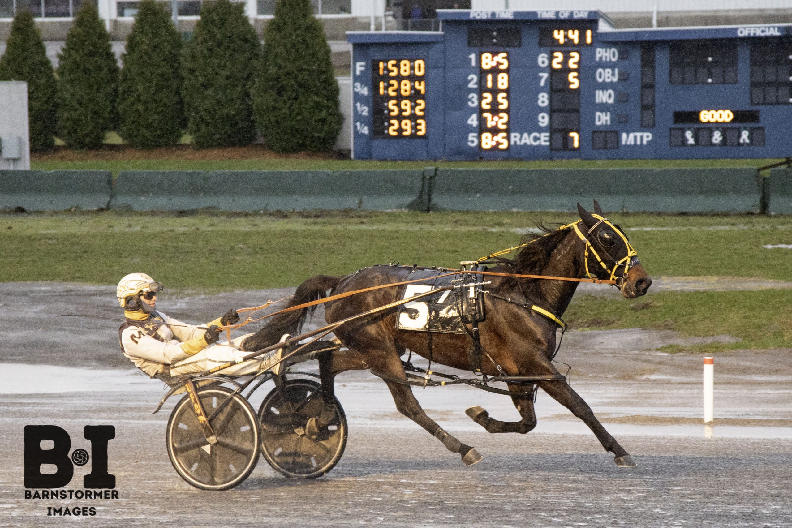 Oaxacan Dream N find the winners circle