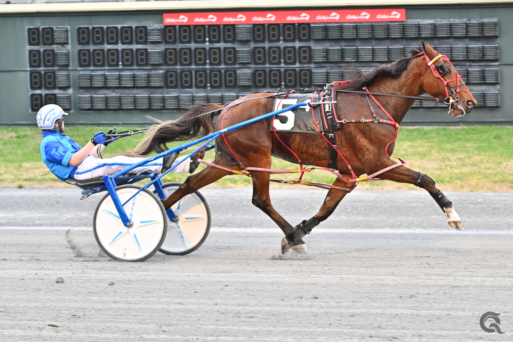 Primo Maschio too slick on last day of racing