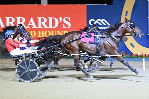 Pandaia qualifies for the Queen Elizabeth Mile with last gasp win