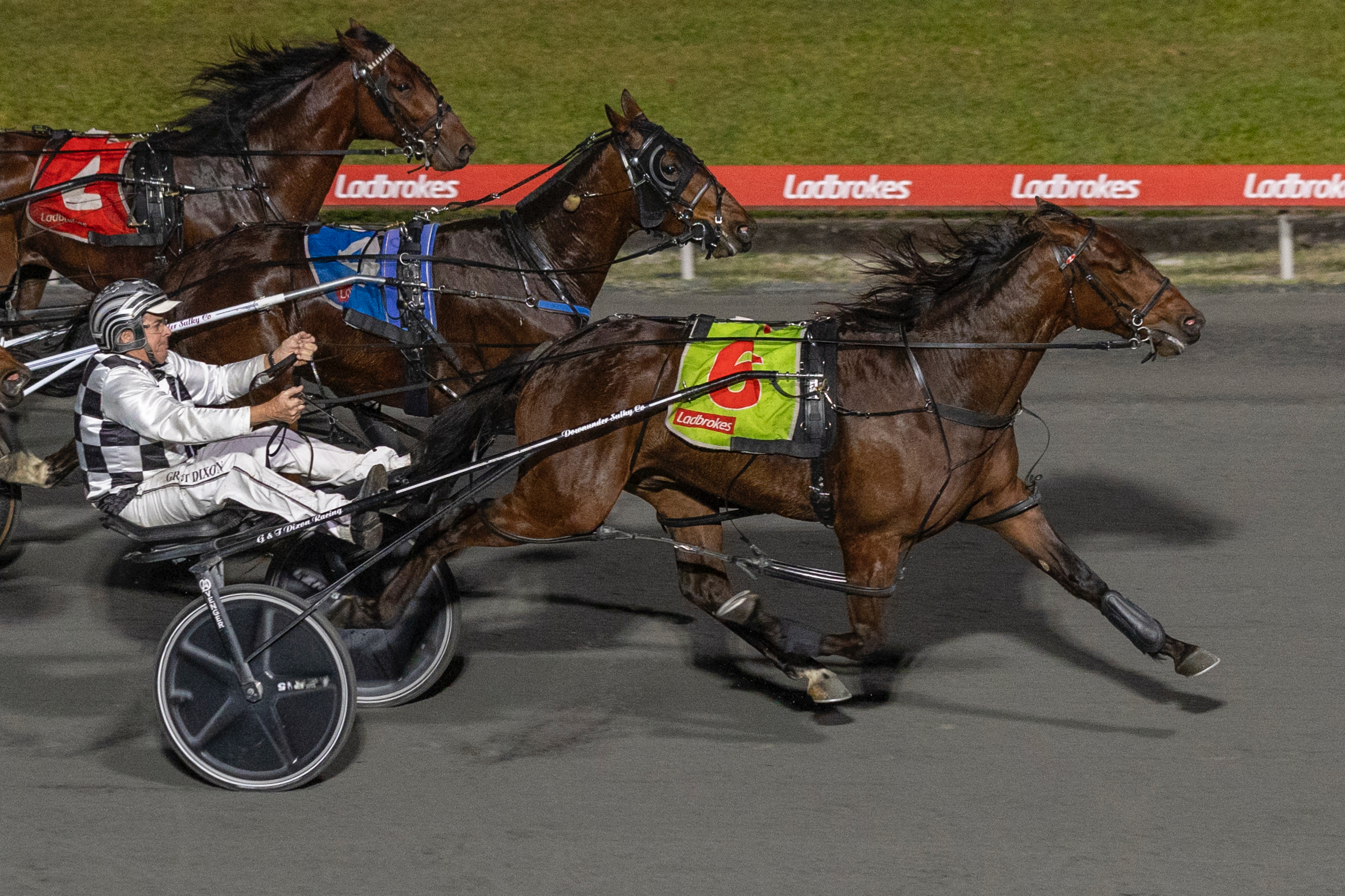 Dixon talks about his three Eureka runners