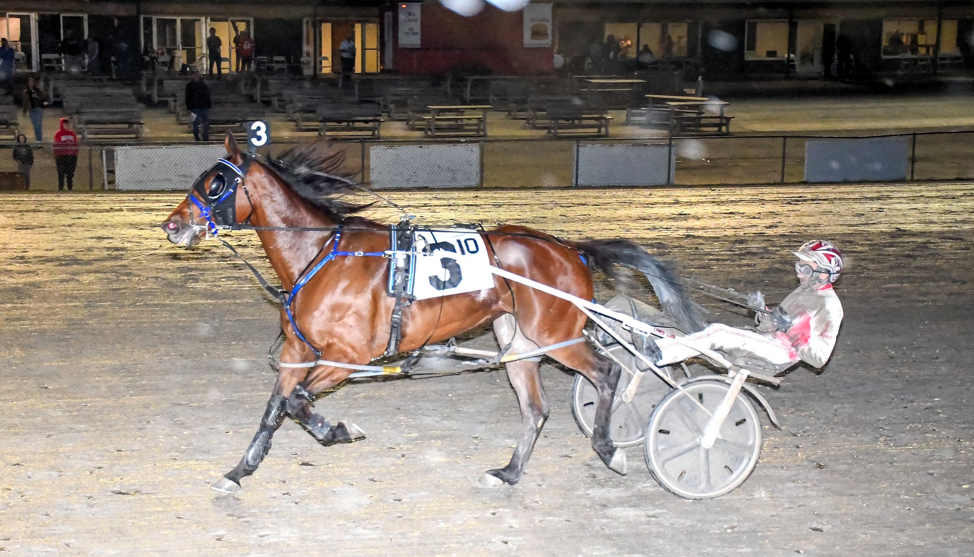 Quarrel wins feature on opening night