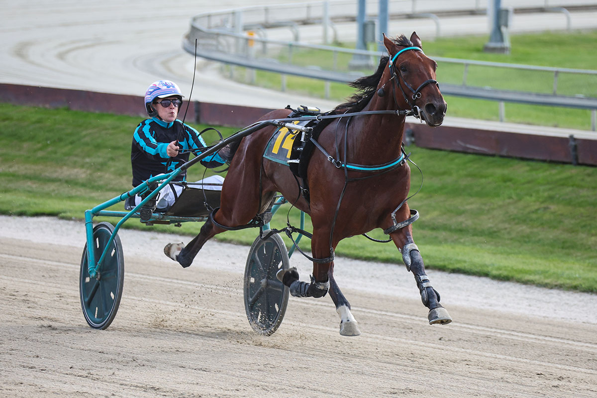 Renegade a rising star