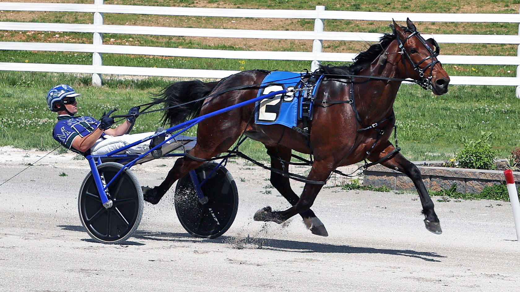 Bath Bomb, Women Layer looking for Sire Stakes sweeps