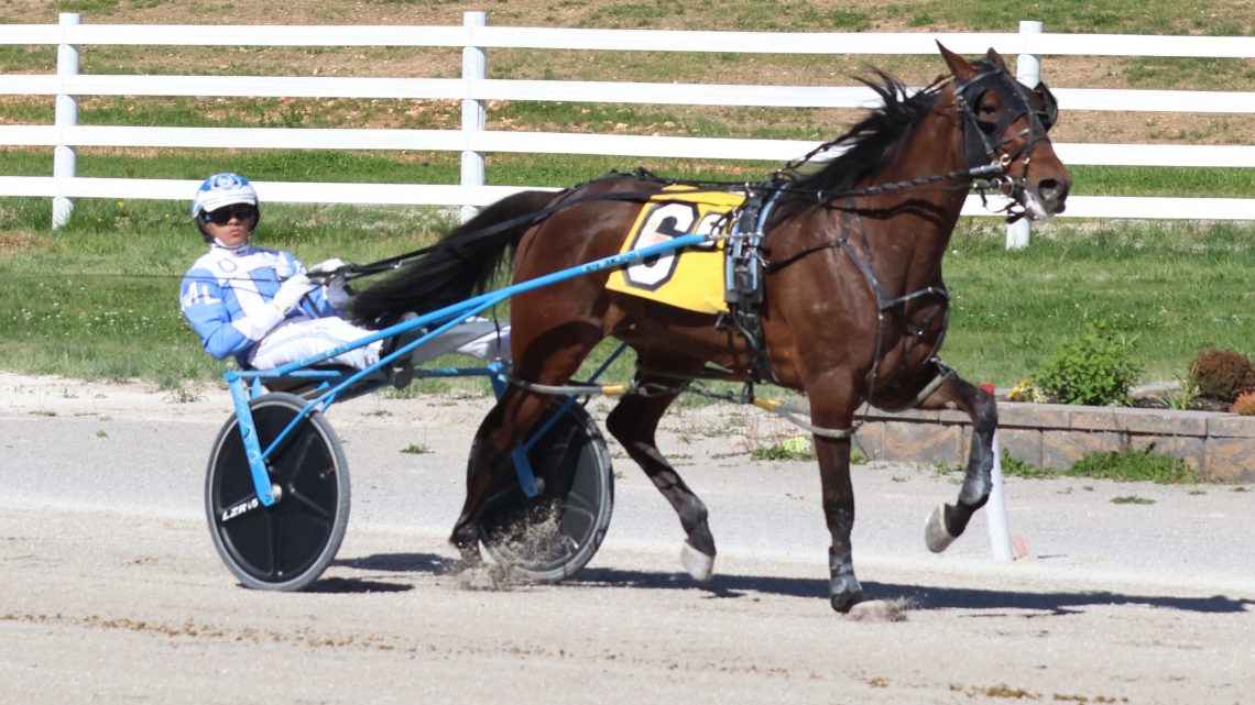 RELEASE: Picksixking Swoops to Victory in Oak Grove Feature