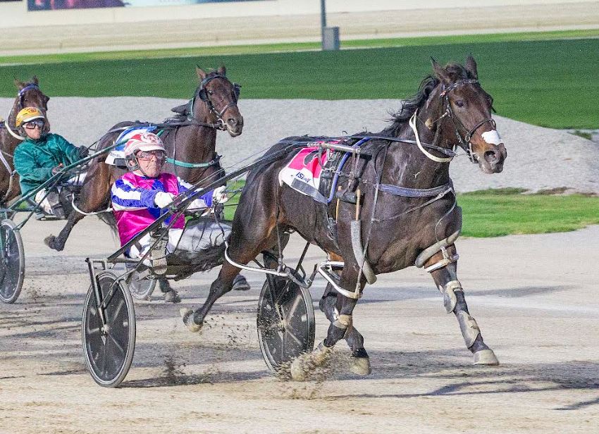 Alford chases a career first at Menangle