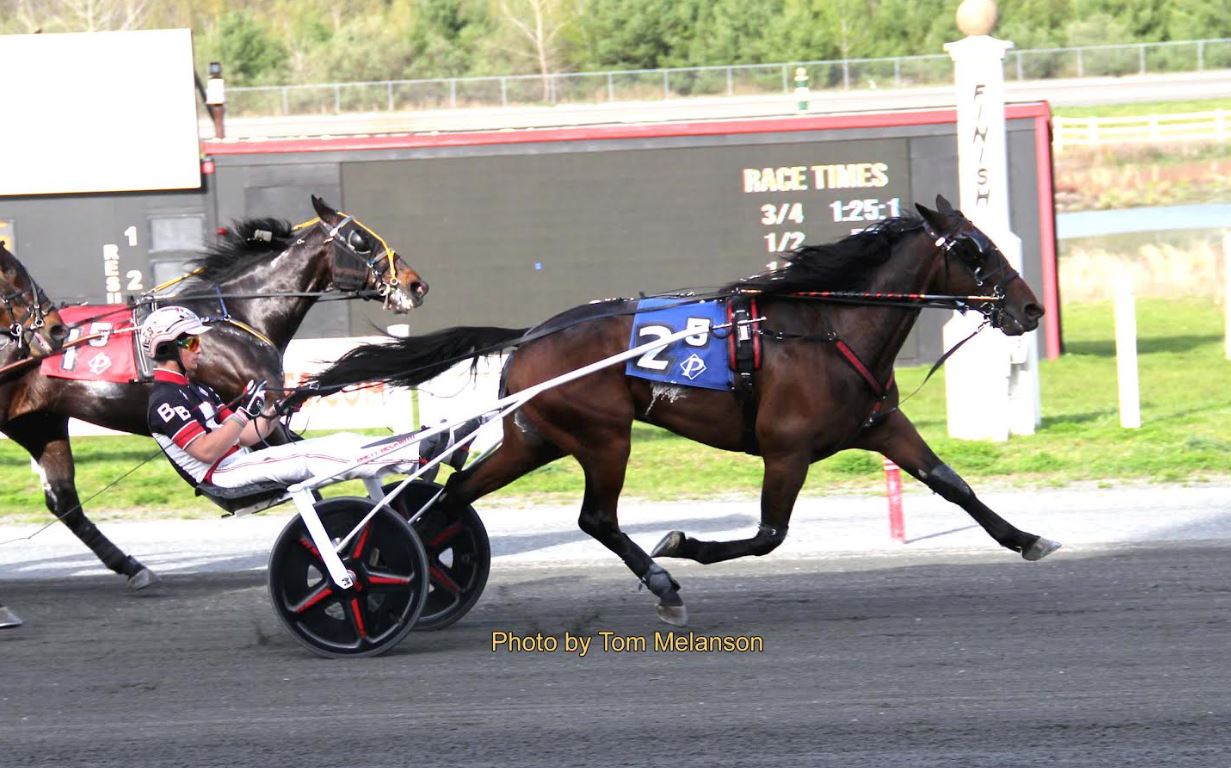 Main events sweep by Beckwith, Cullipher and Pollack