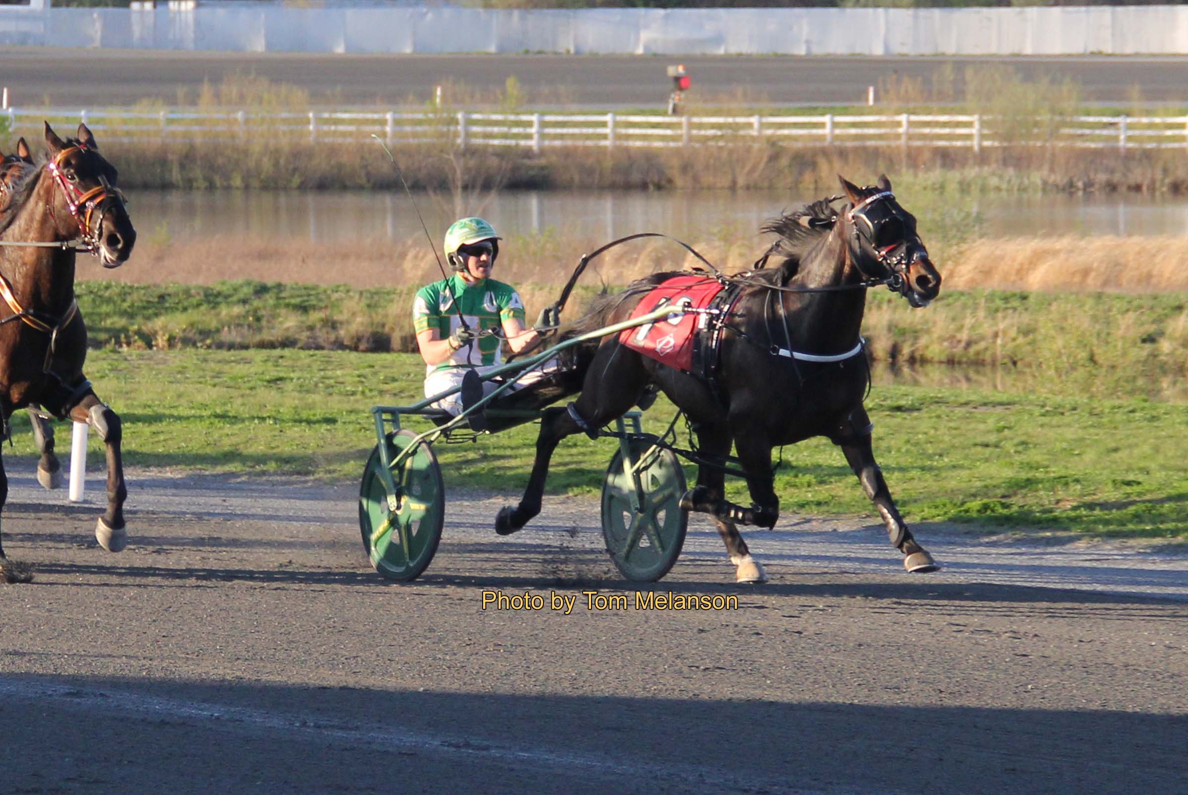 Solesseo Matuca A posts fastest mile of the meeting